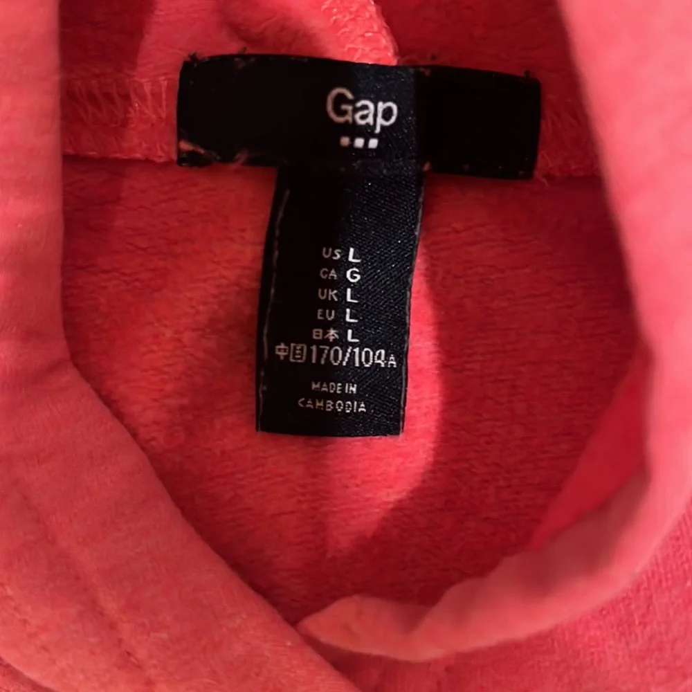 Gap hooded sweatshirt. Great condition_2